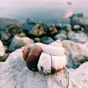 Meet your Posher, Noelle